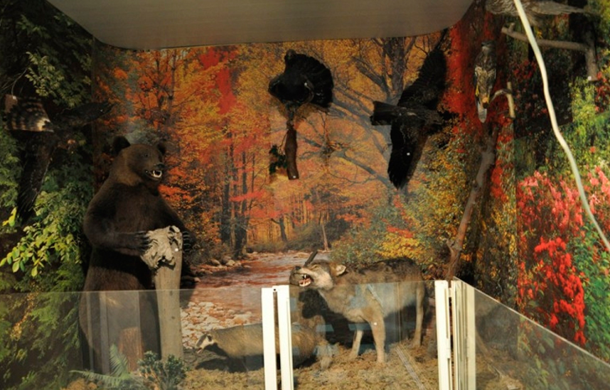 Мытищинский музей охраны природы